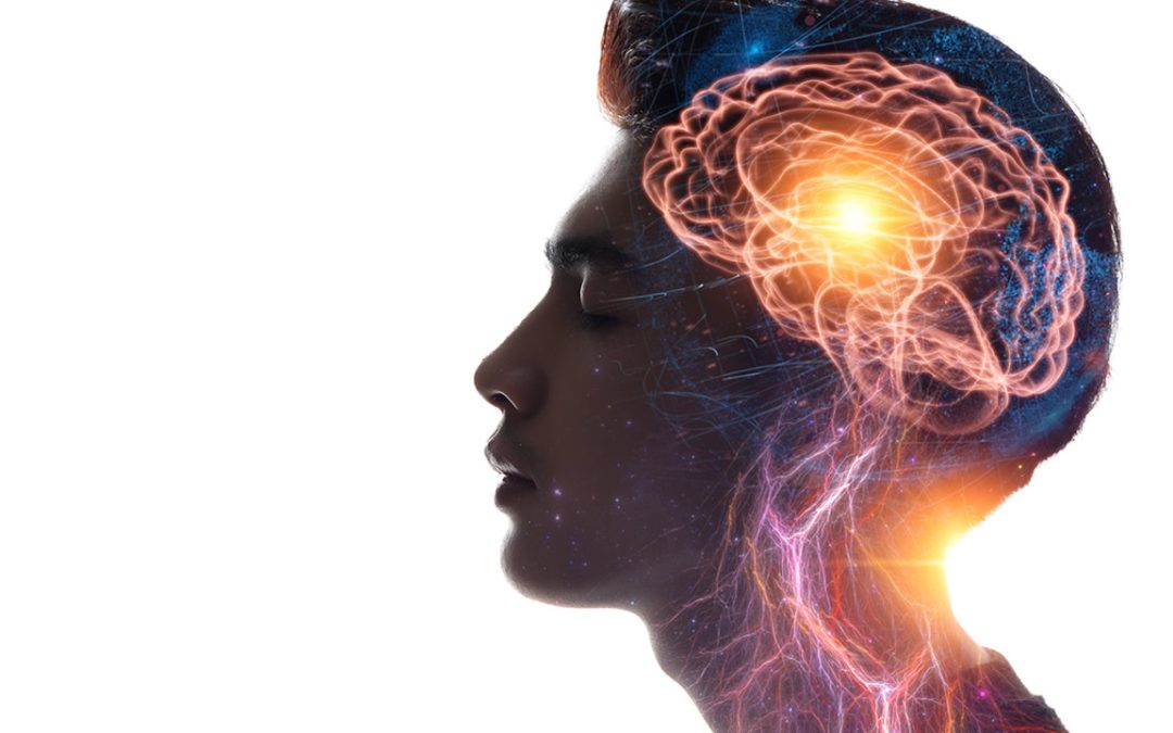 The Brain’s Role in Decision-Making.
