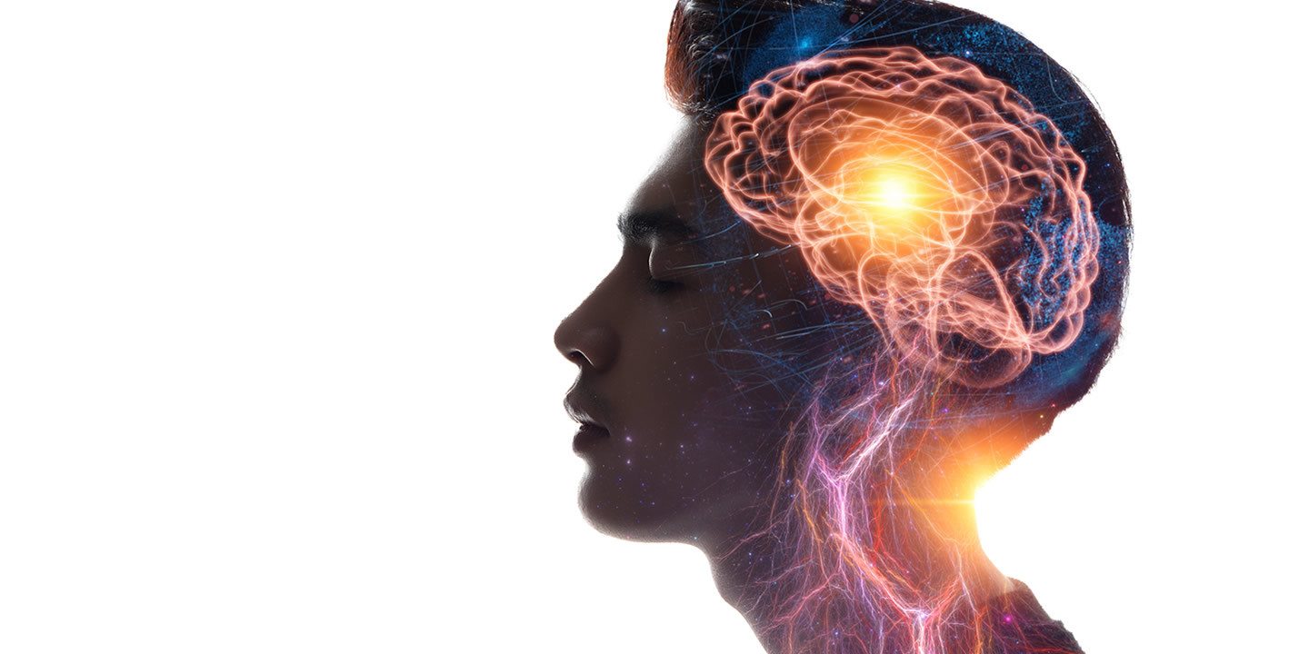 Applying Neuroscience to Leadership - Part 1 - the Brain's impact on Decision Making